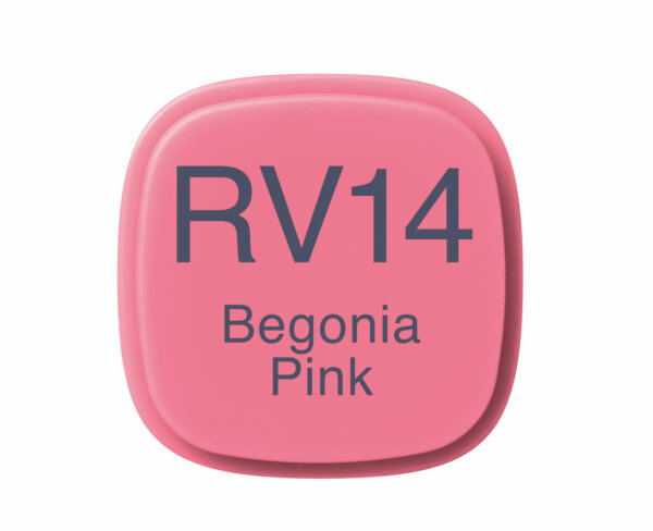 Begonia Pink RV14